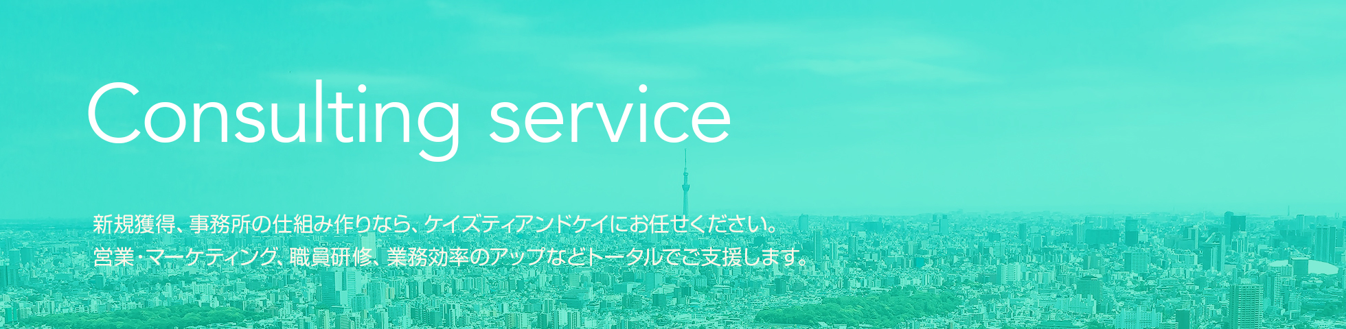 Consulting service コンサルティングサービス